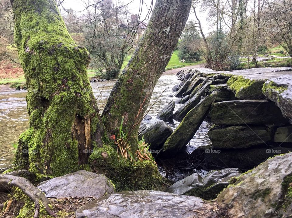 Tarr steps. Devon, England