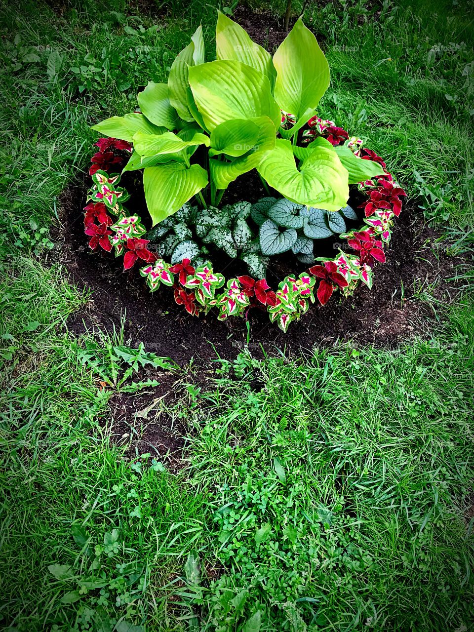small flower bed
