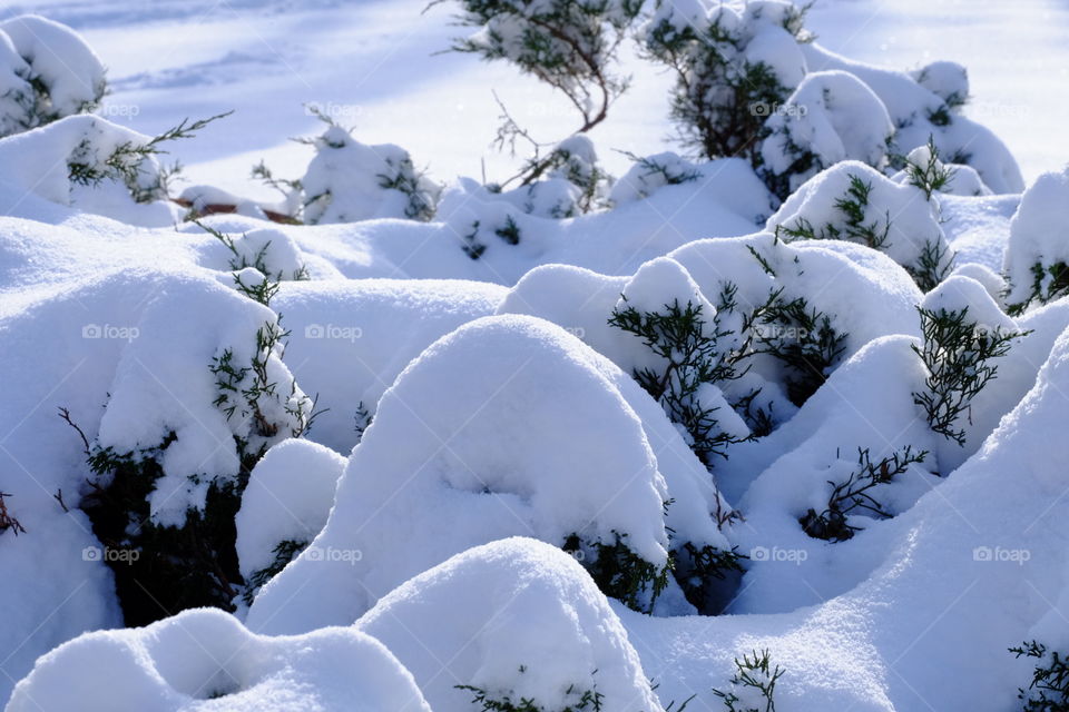 Winter season in Montreal City