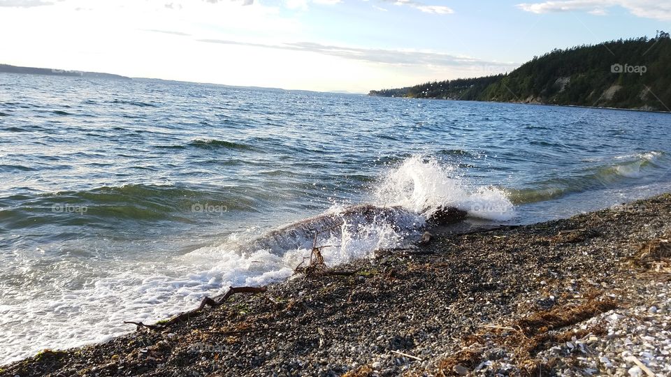 waves crashing over a log onto Cama Beach. Camano Island, Washington. 6/20/2016