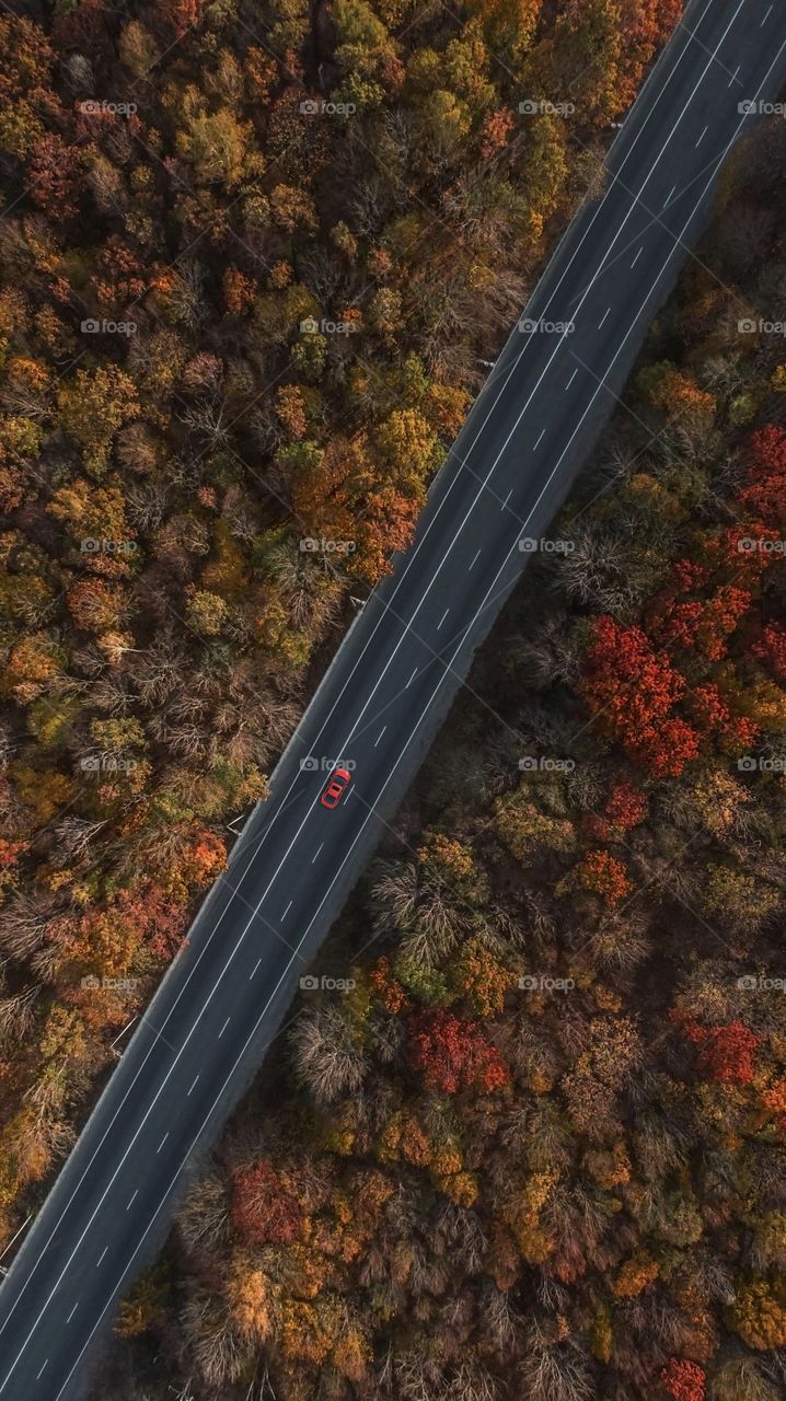 Red car on the highway, that leads through the autumn forest 