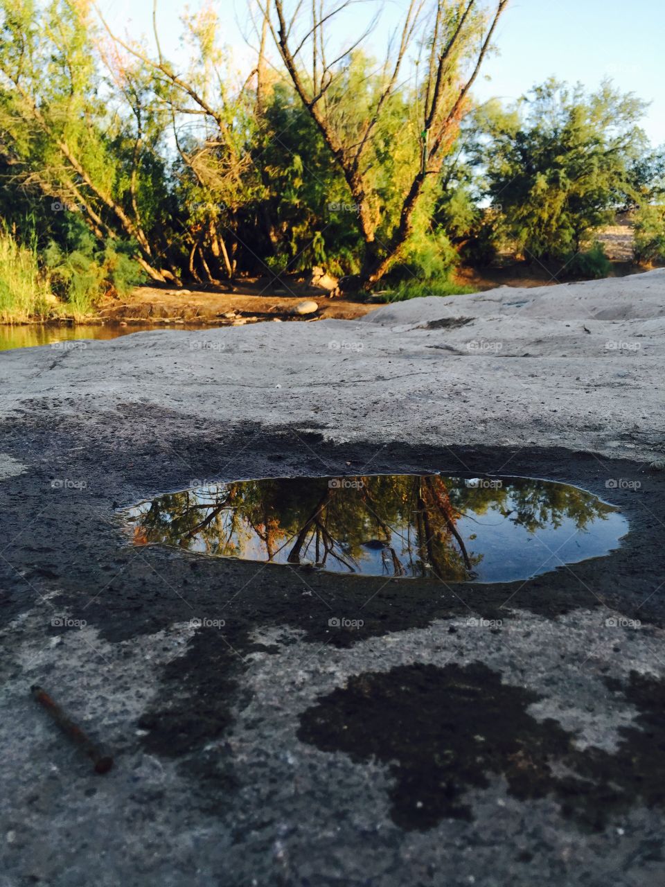 Puddle of reflection . 9/19/15