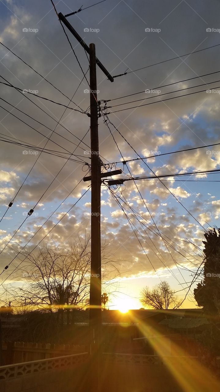 clouds on a stick. my hideous back yard