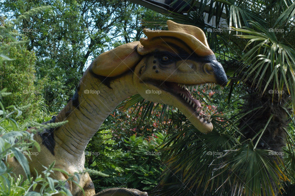 zoo dinosaur large fake by stevephot