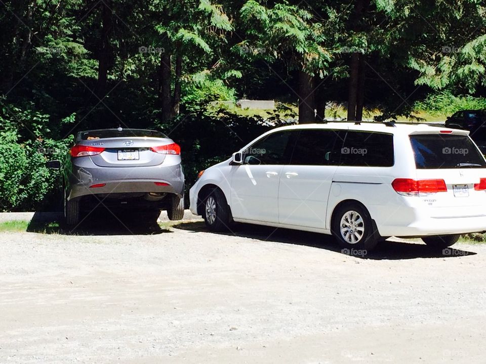 Create your own reality