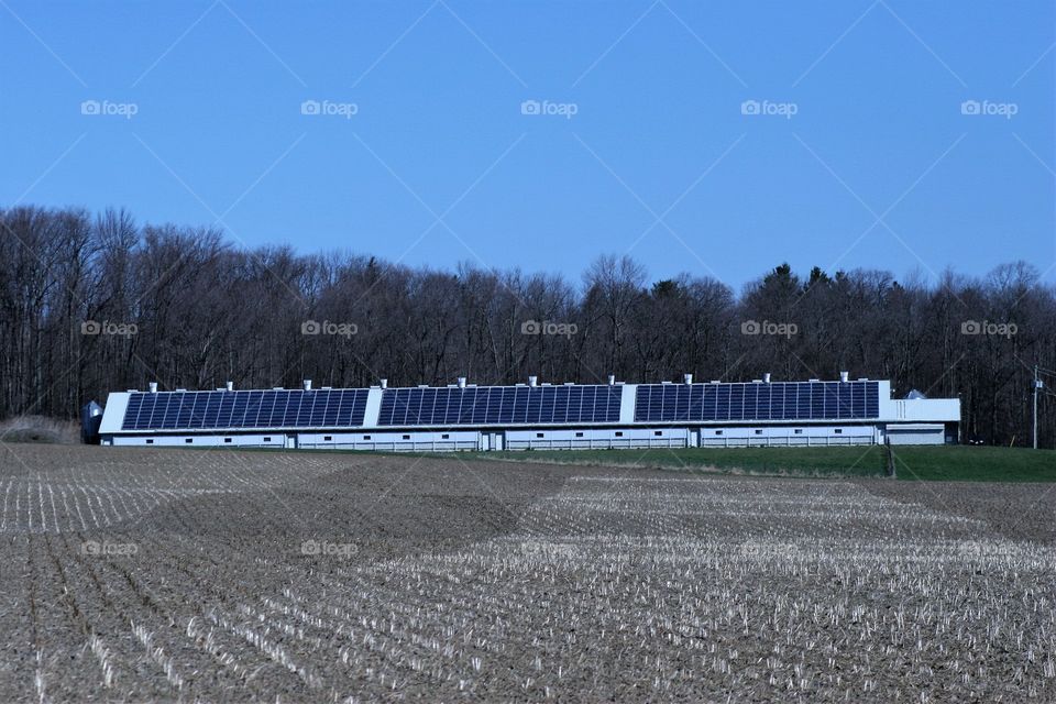 solar panels