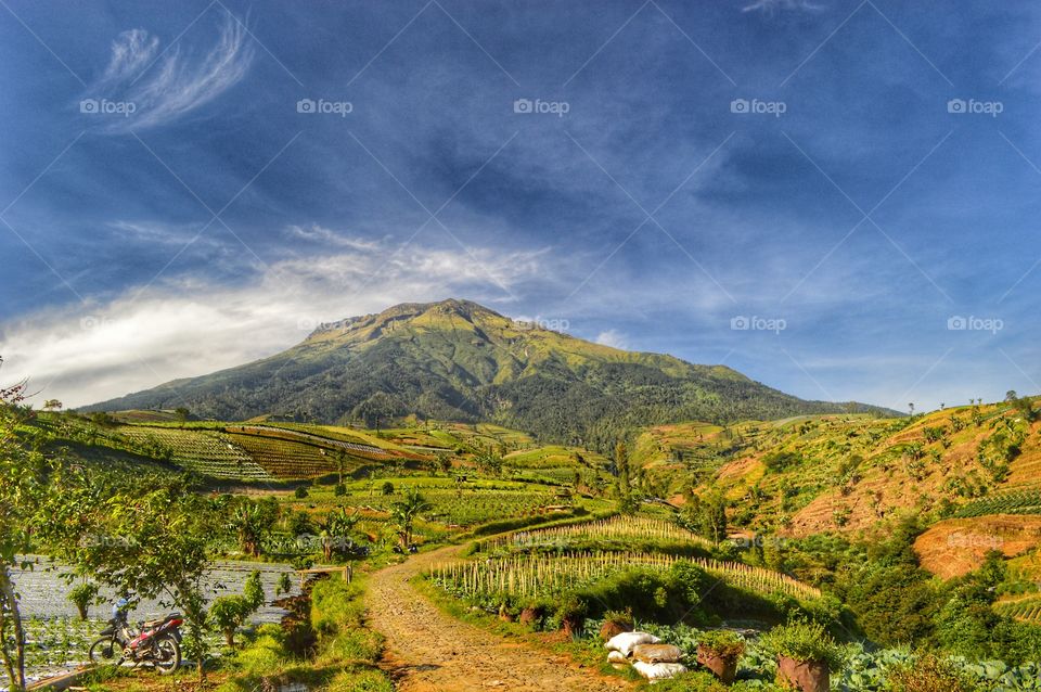 amazing mountain,  sumbing mountain i  central java,  images of mountain,  new mountain,  traveling in mountain