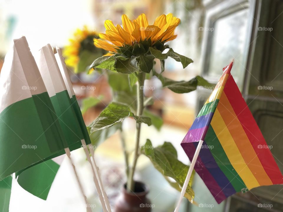 The flag of a city and the rainbow flag between sunflowers