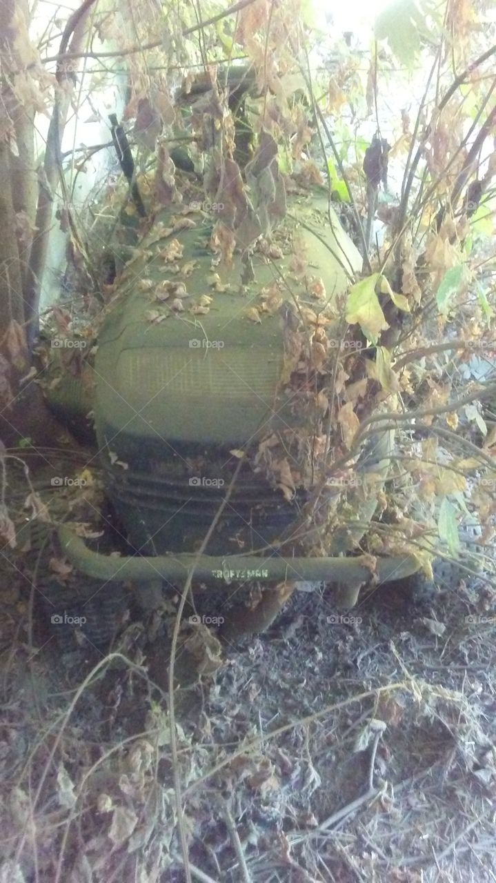 Concealed & forgotten