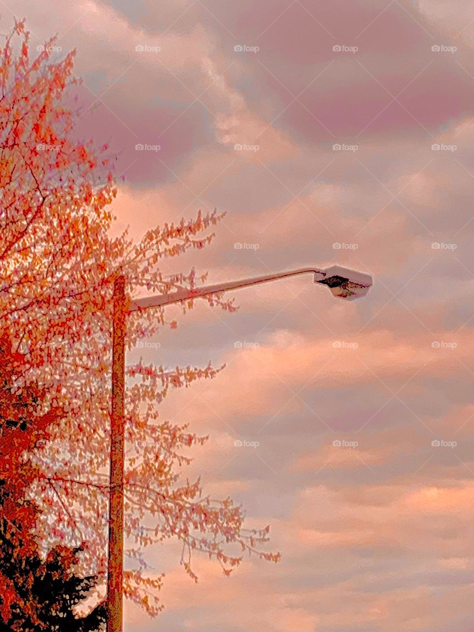 Streetlight