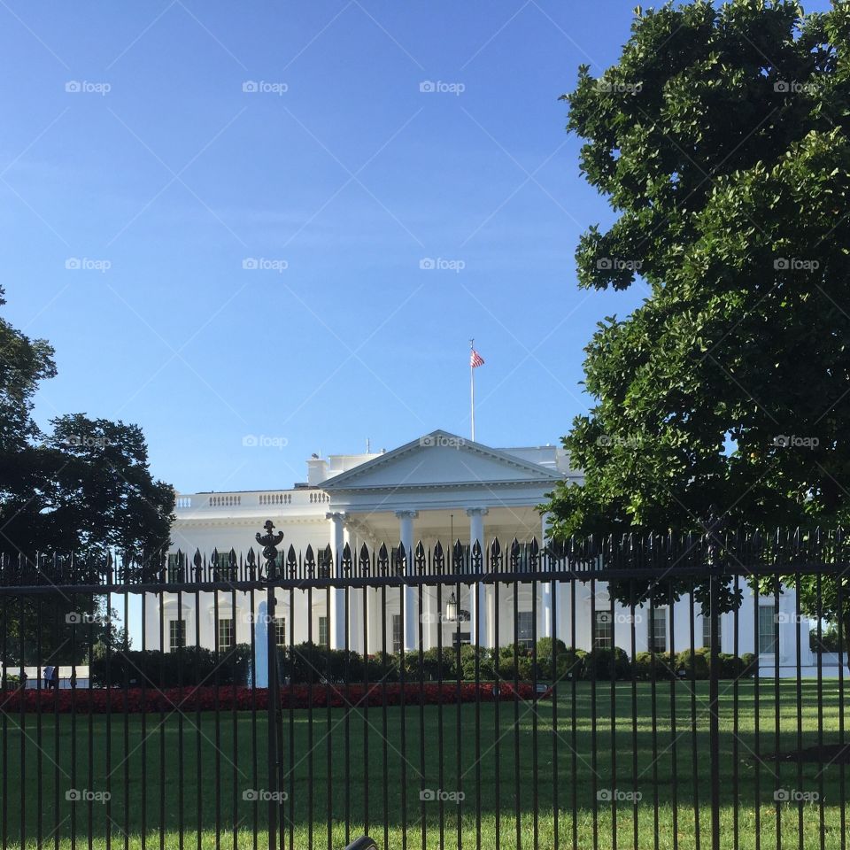 White House 

