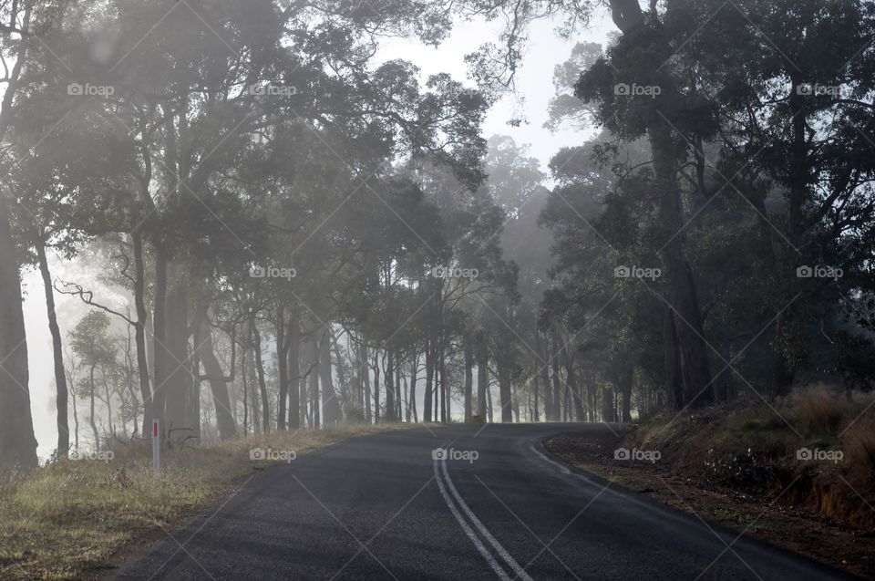 View of road passing through foggy morning