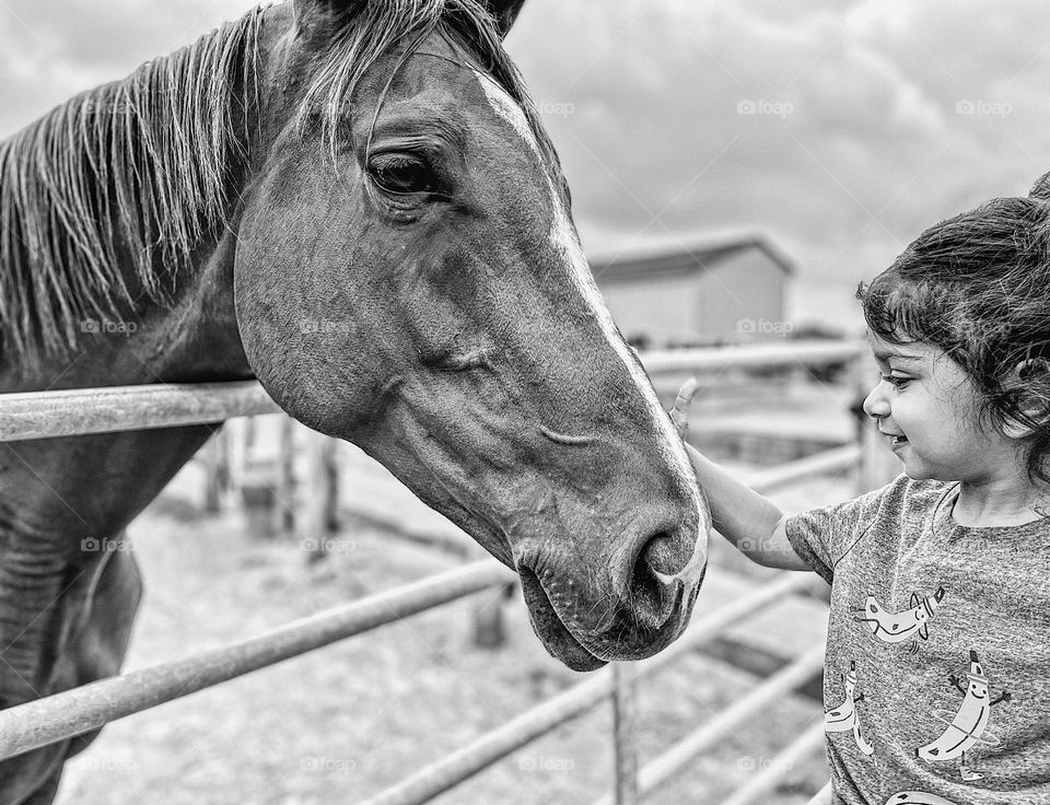 Toddler girl meets horse for the first time, toddler gently pets horse on the nose, toddlers on the farm, black and white toddler portrait, happiness on a horse farm, small moments of happiness in life 