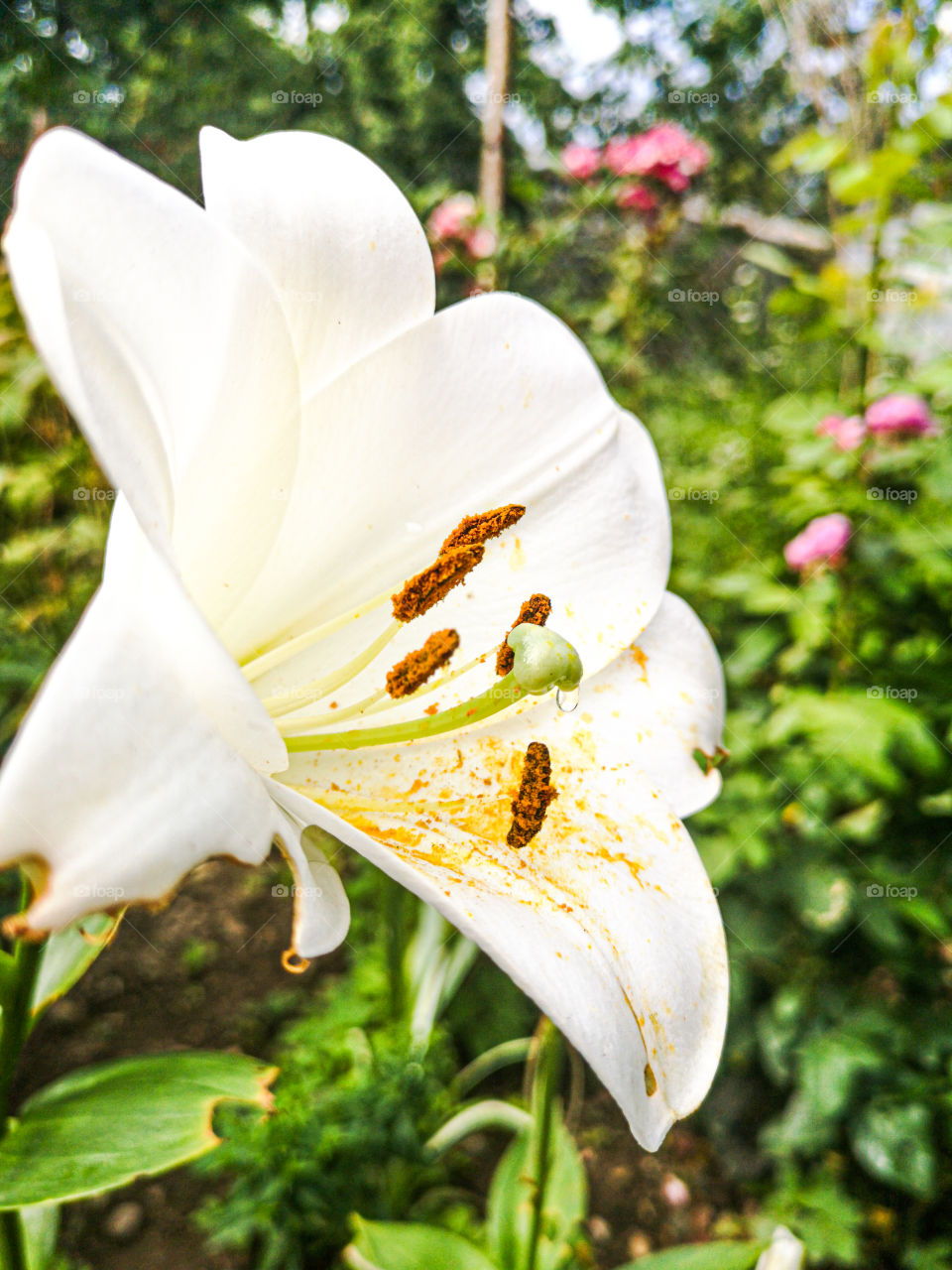 The story of rain drop