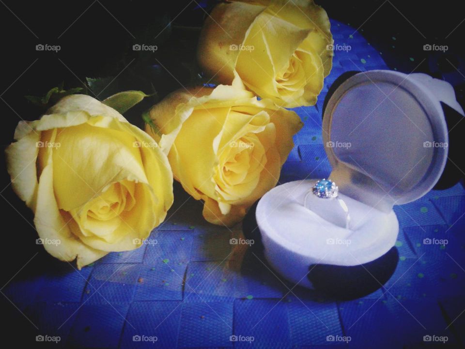 Yellow roses. Propose to marry