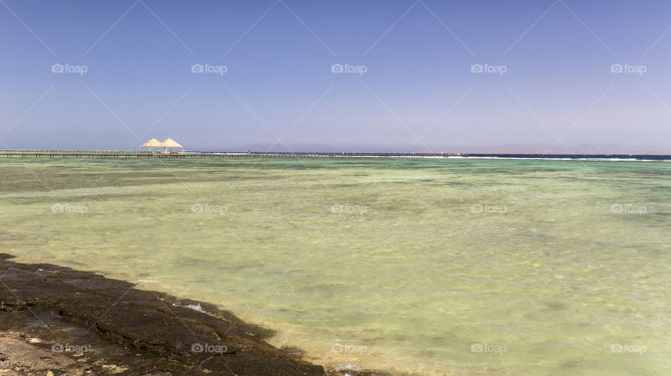 red sea, Egypt