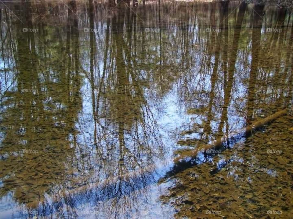 reflection lake