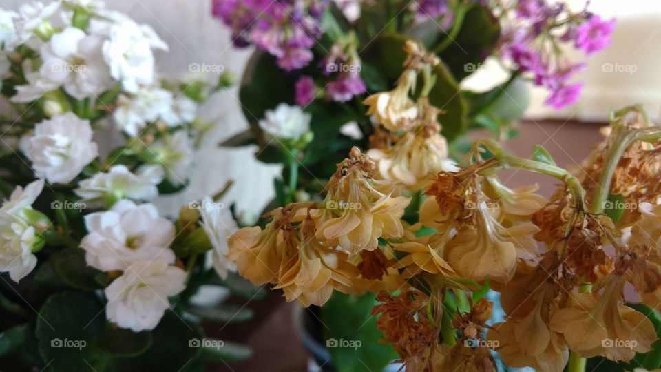 Floreszinhas de lembranças de casamentos.
