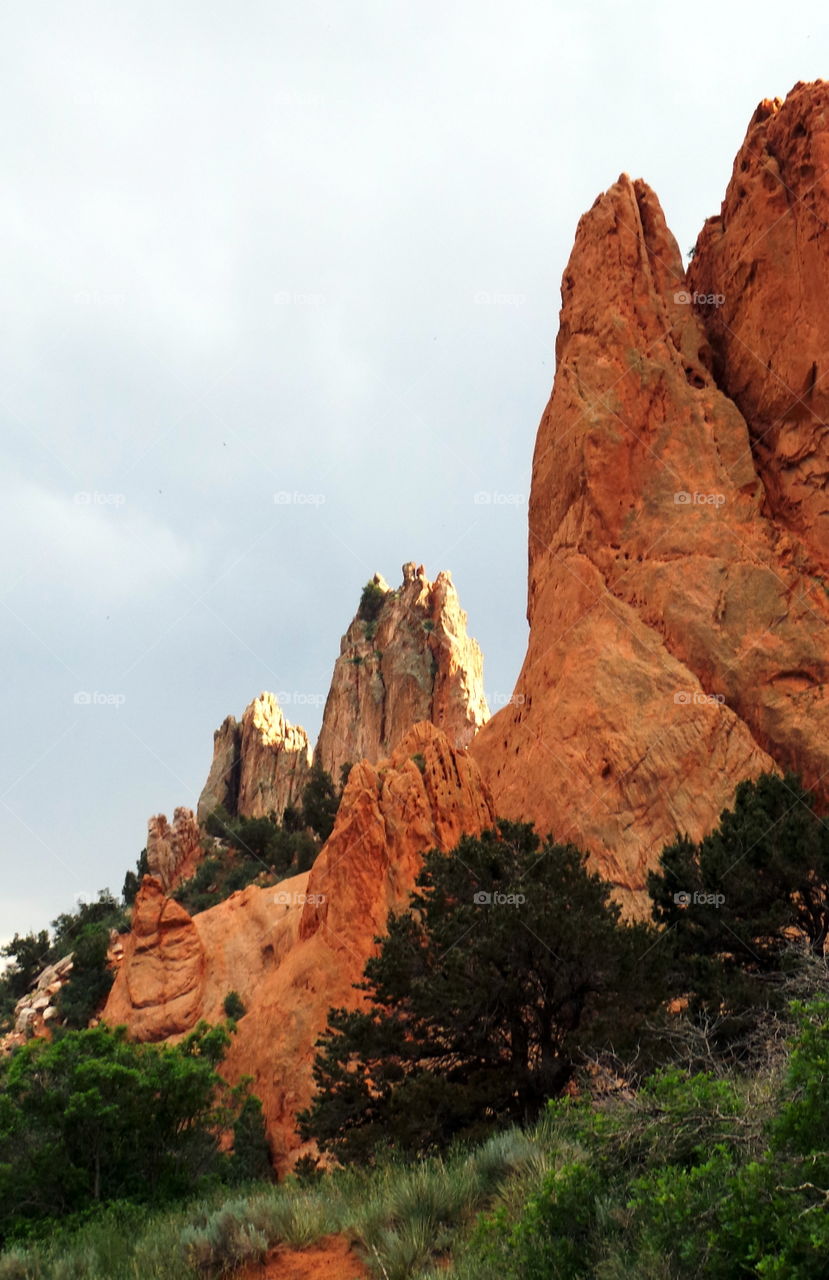 Spires. Spires are all that is left in places of the Fountain Formation as it stands up among the trees at Garden Of The Gods