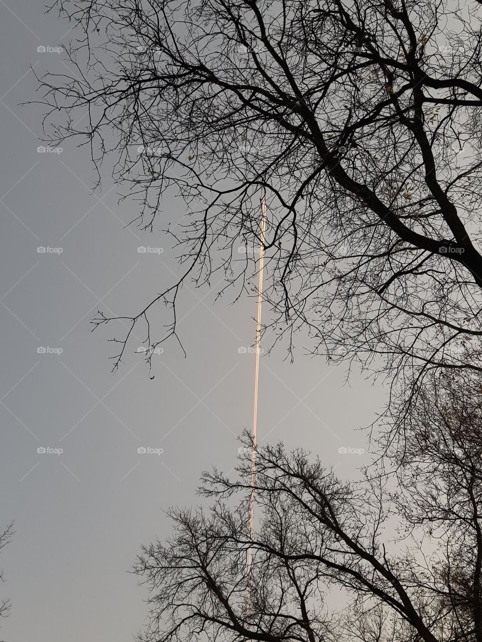 picture taken to the clear sky in Canada