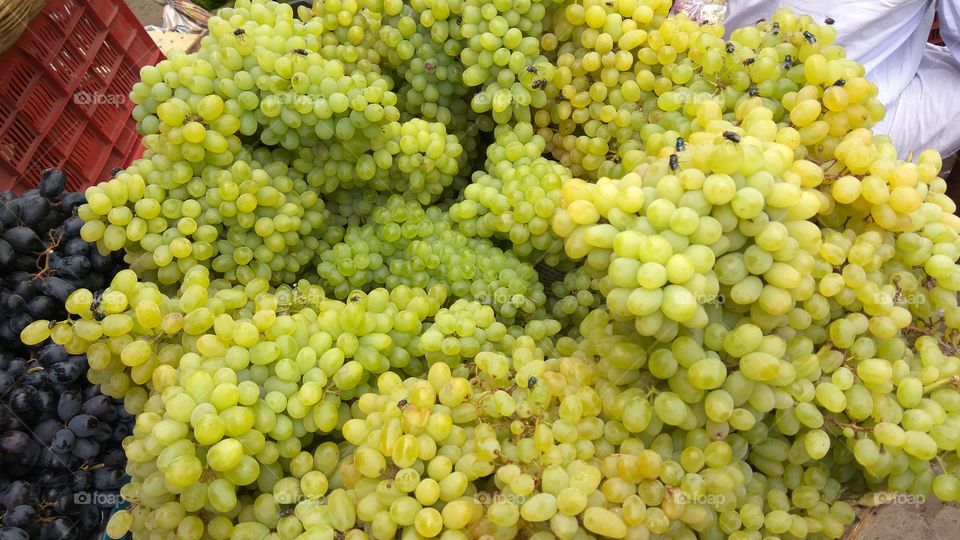 lovely grapes with greenish
