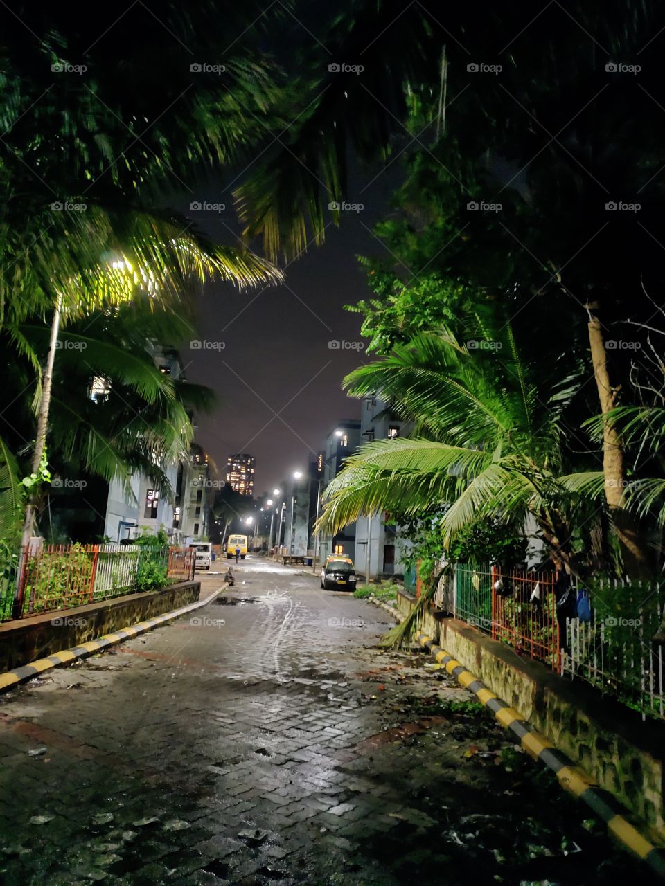 Cityscape,
Night 🌃 Snap
A Road Lead To destination
Green 🌴And Illuminated 💡