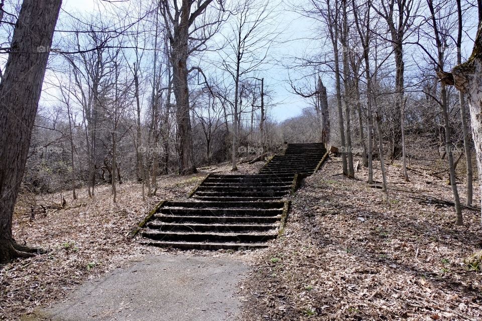 Staircase in the park