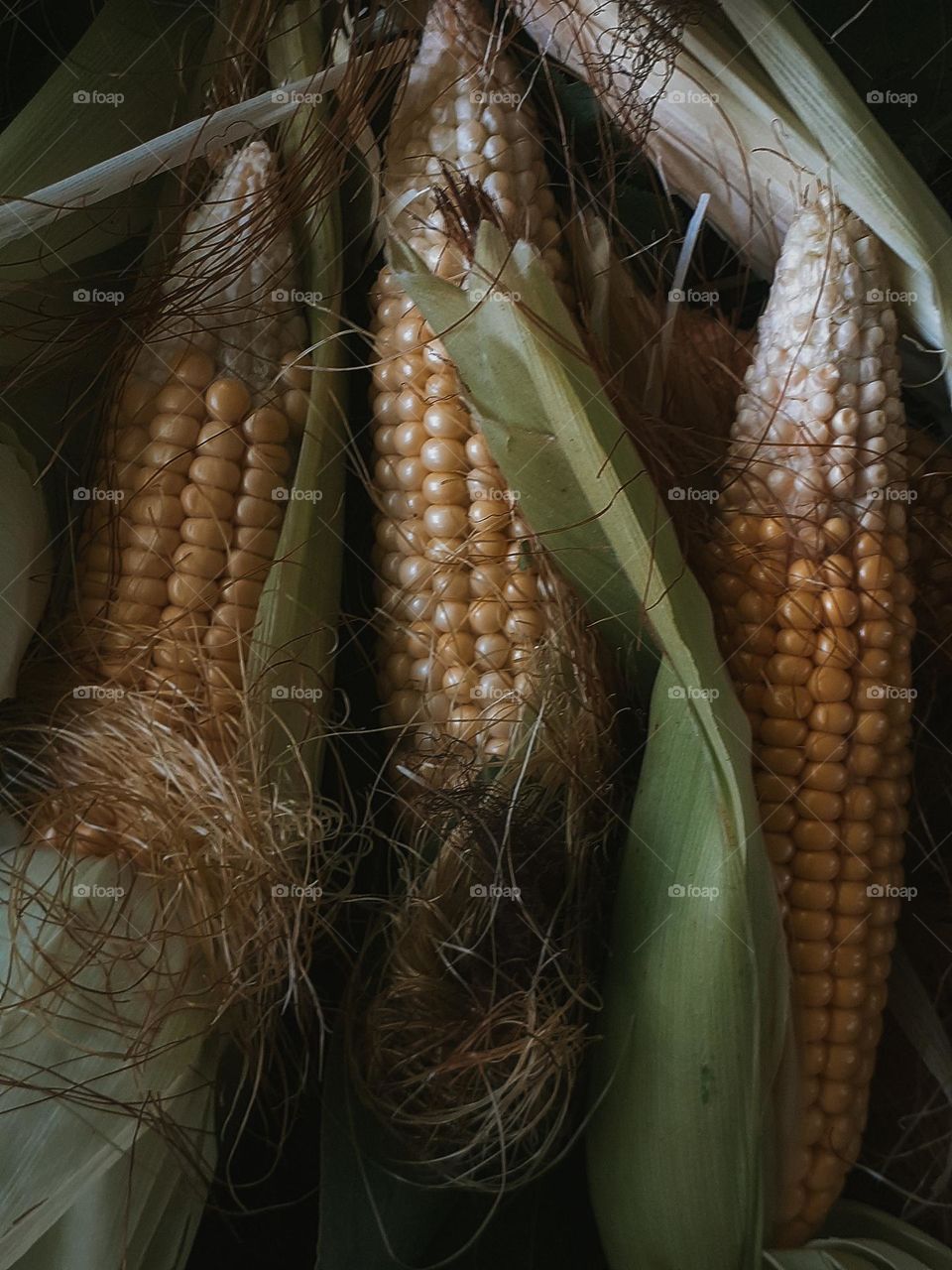 Ukrainian vegetables