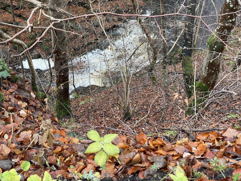 Climbing high above the river 