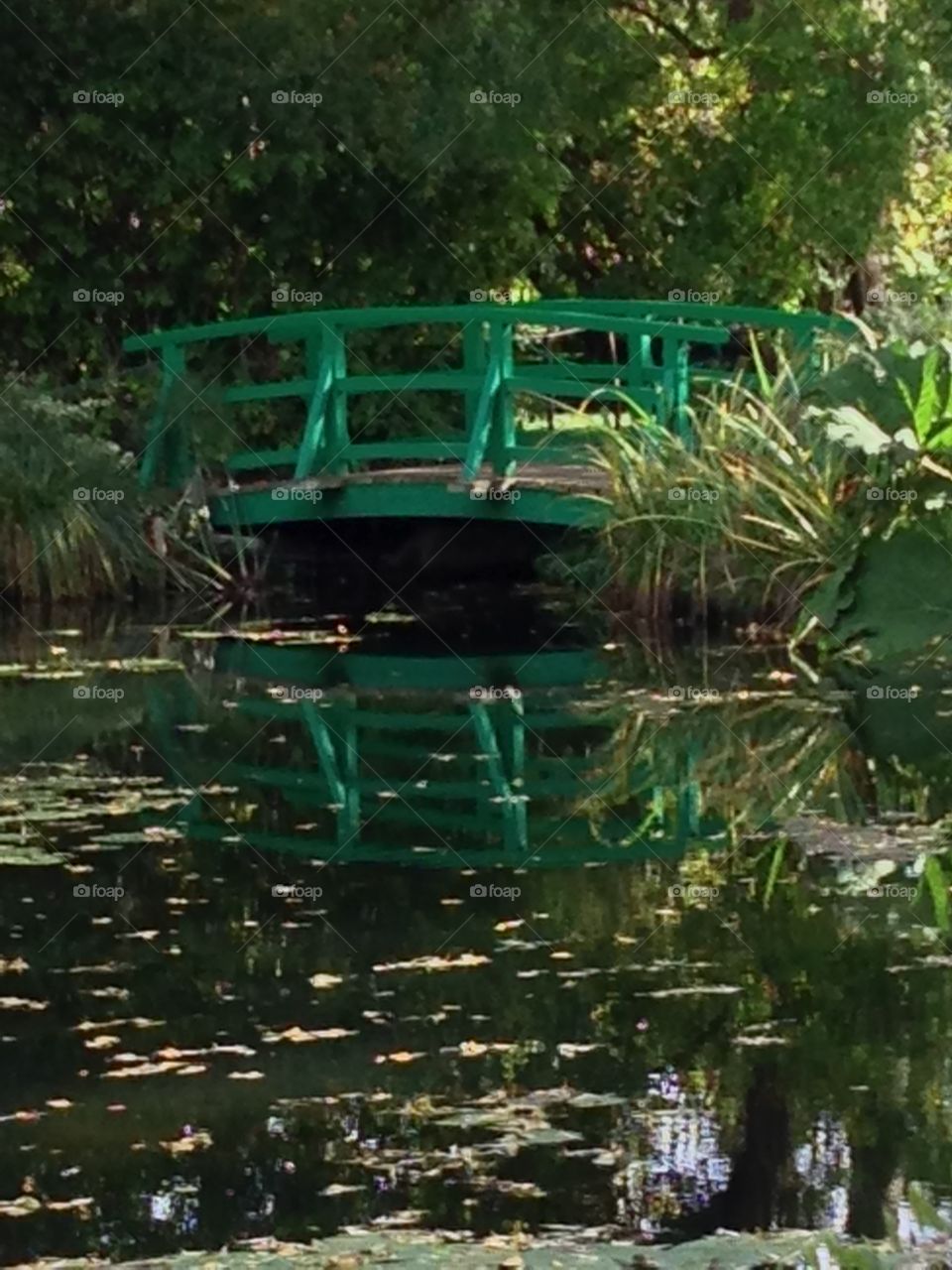 Famous bridge over a pond of water lillies, one of Monet's most renown works. 