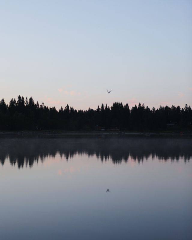 Midnight summer sky