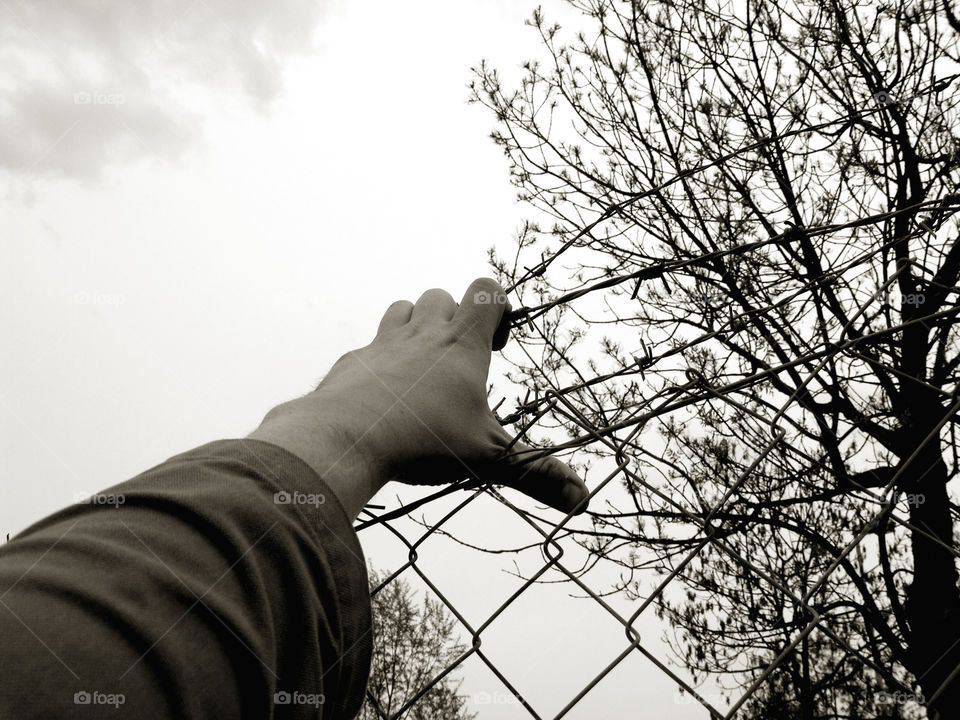 Freedom. Hand of a man  on a barb wire