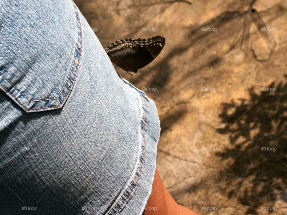 butterfly on leg