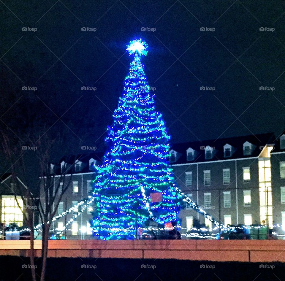 City Christmas Tree