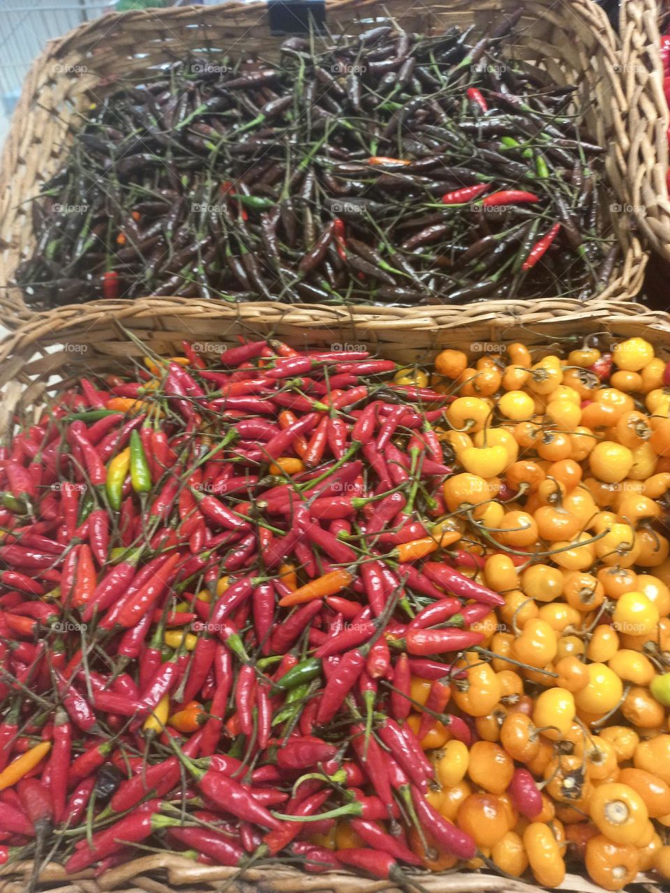 Pimentas. A pimenta é um fruto rico em vitaminas A, C e E, além de compostos alcaloides que proporcionam vários benefícios à saúde. Essas
propriedades da pimenta fazem com que ela tenha um efeito termogênico de aceleração do metabolismo