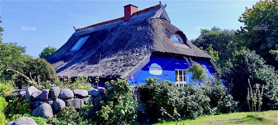 This farmhouse in indigo blue with an old fashioned straw roof called the “Blaue Scheune” or “Blue Barn” has been a live in art studio at the turn of the twentieth century featuring the Swedish movie actress “Asta Nielsen”. 2024. Hypnotic Productions