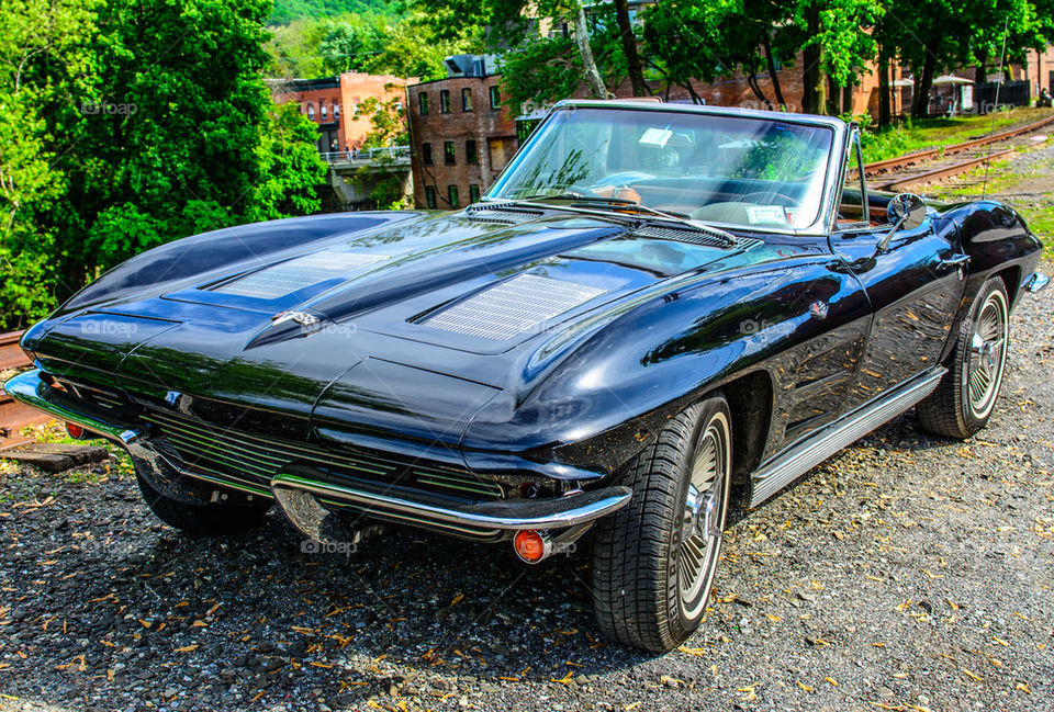 CLASSIC VETTE