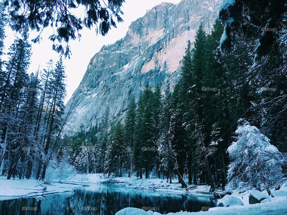 Frozen River in Yosemite 