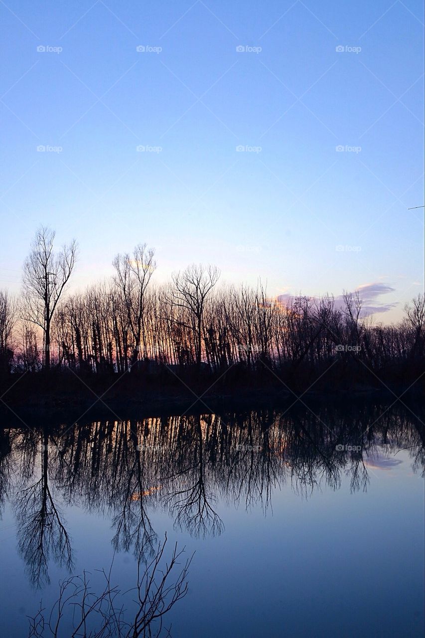 Reflections in a river