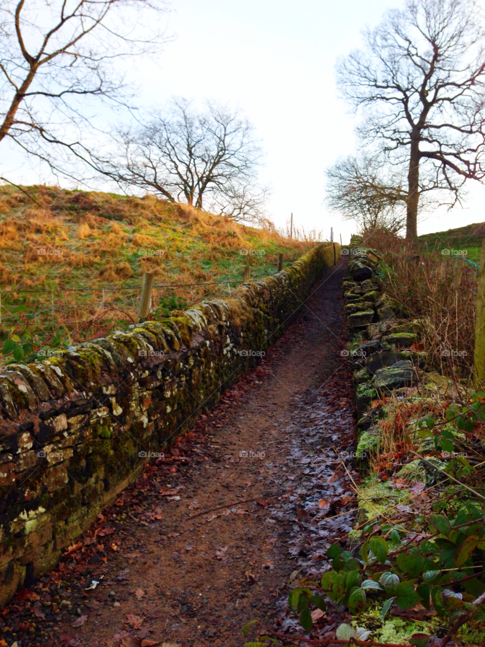 macclesfield higher fence avenue whitney croft by null_device