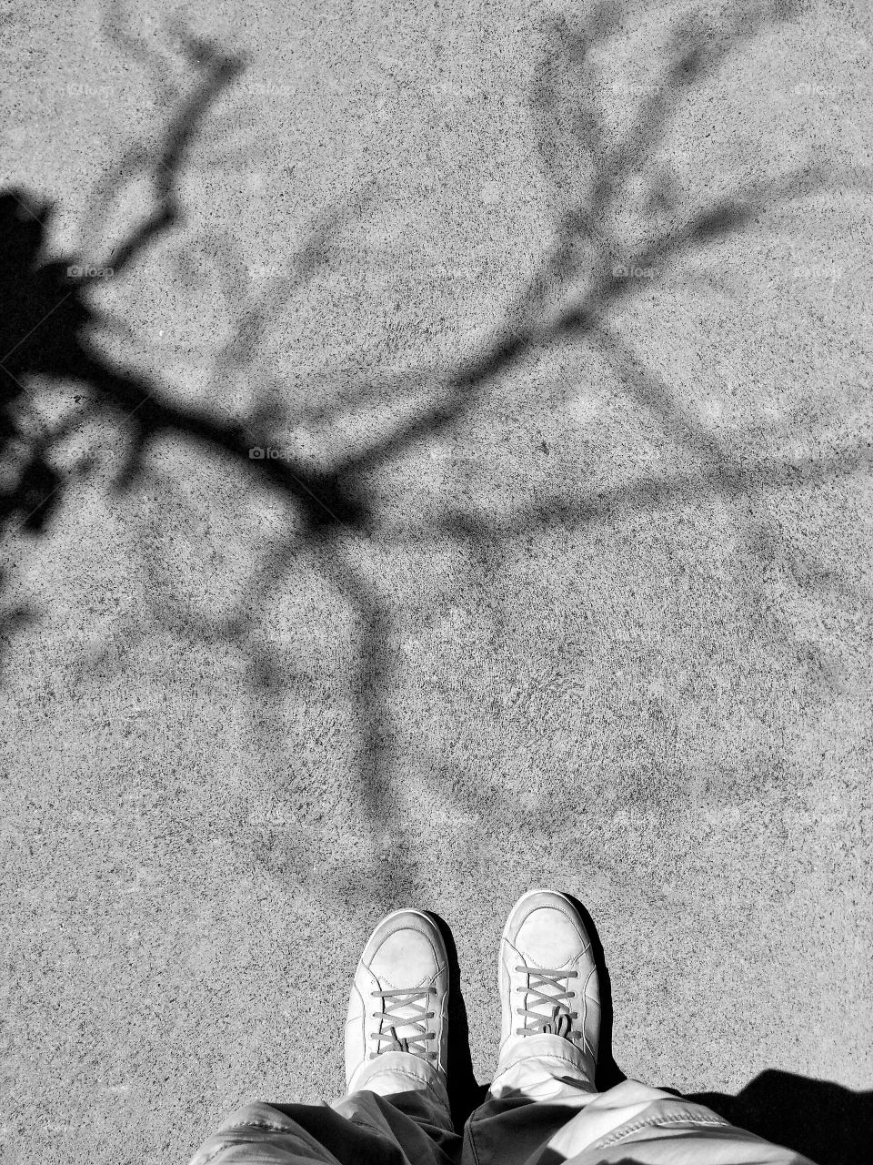 Sunshine and shadow from tree. Backgrounds and textures.