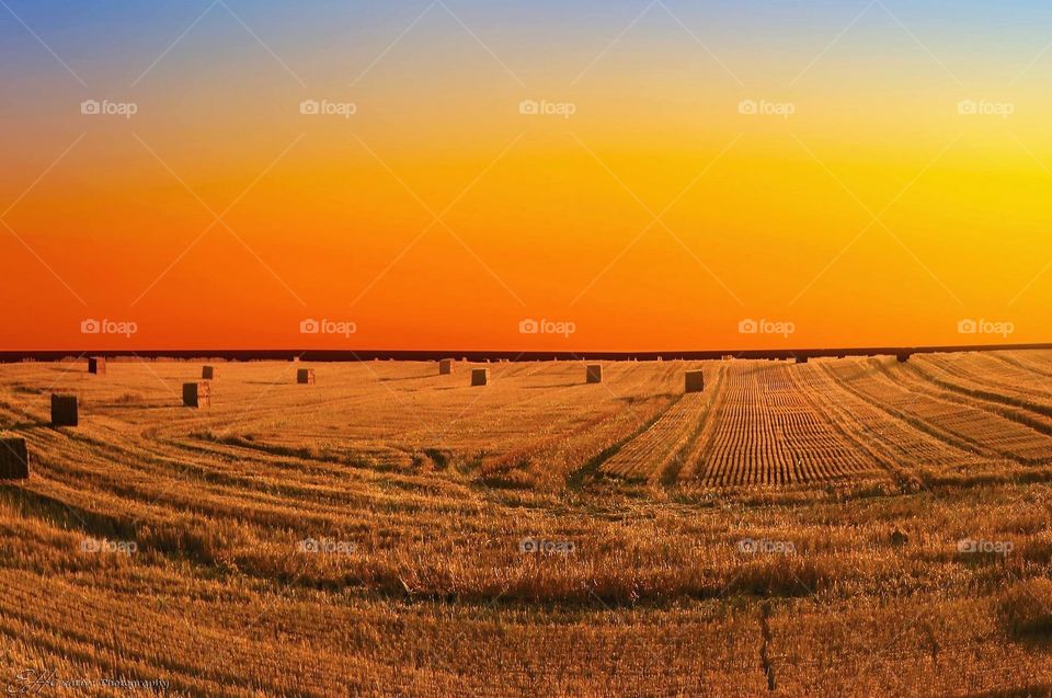 Hay Bale Sunset 