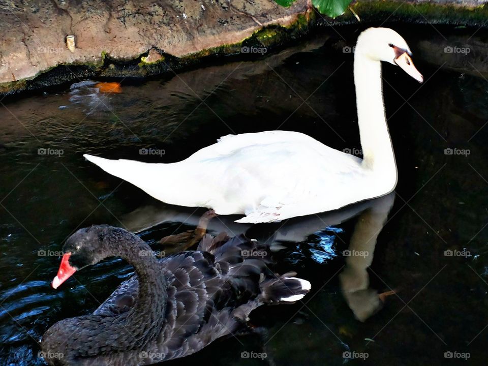 Different. Different