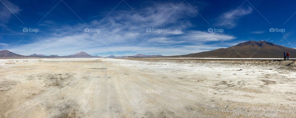 Bolivian Desert