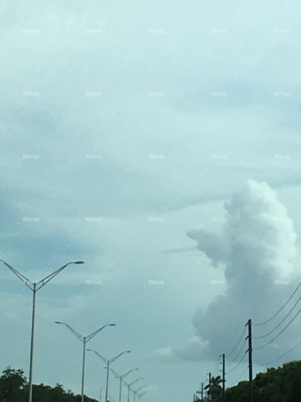 Poodle cloud 