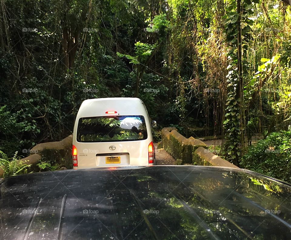 Riding in the back of a pick up truck - we head into the mountain rainforest of St. Kitts to start our zip line adventure! 