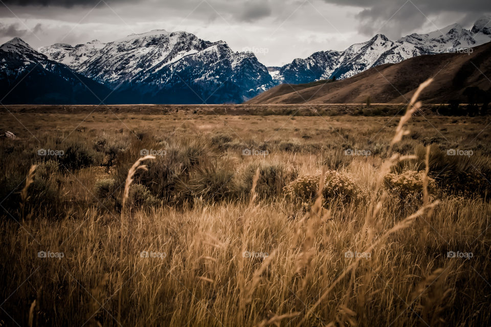 Grand Teton National Park