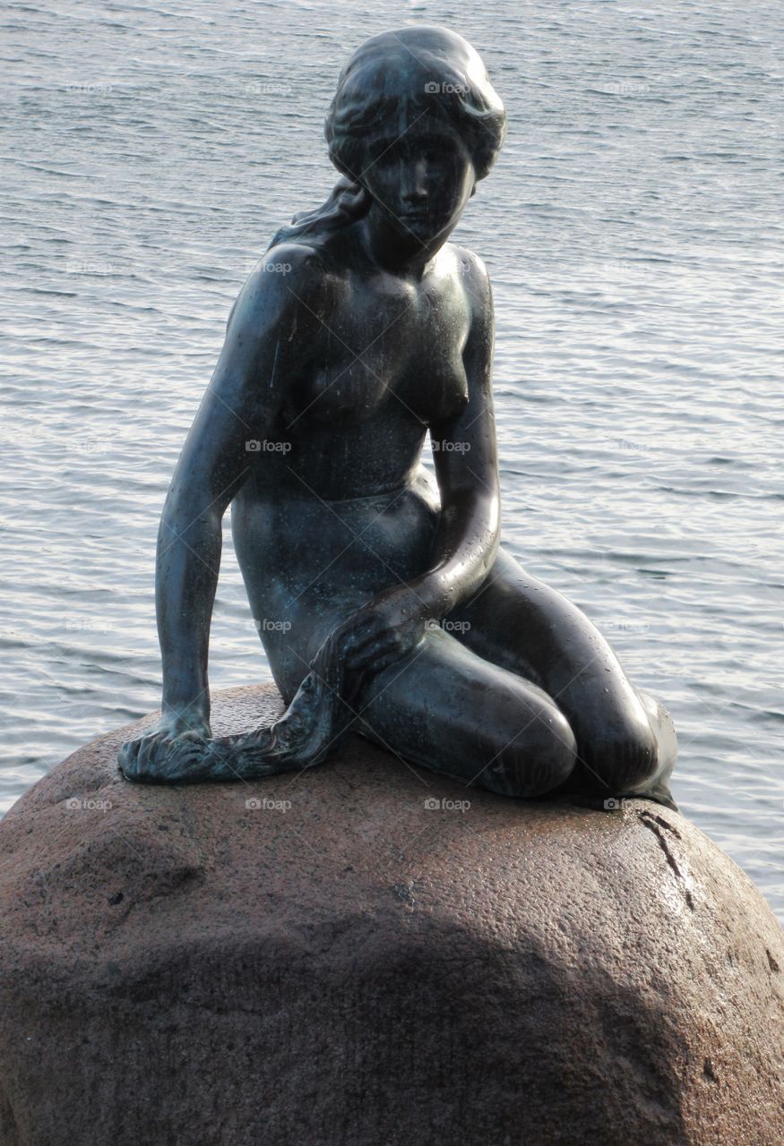 The very famous little mermaid sat on a stone at copenhagen the story written by Hans christian andersen