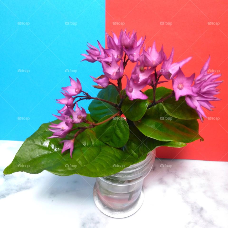 Beautiful purple flowers on vase