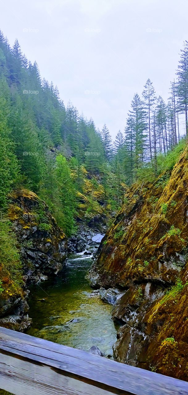 small river running through the mountains